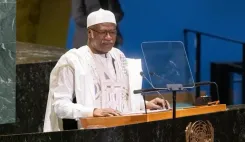 Should the UN General Assembly and Security Council Operate as Complementary Entities?