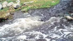 Noyyal River pollution: STP project stalled as 9 panchayats dump untreated sewage
