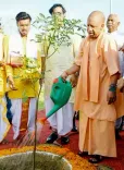 यूपी : मनरेगा के जरिए रोपे जाएंगे 12.50 करोड़ पौधे, हरियाली के साथ रोजगार को भी मिलेगा बढ़ावा