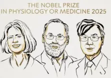 Why Were US and Japanese Scientists Honored with the 2025 Nobel Prize for Medicine?