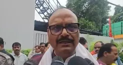उत्तर प्रदेश में स्वाइन फ्लू अलर्ट: डिप्टी सीएम बृजेश पाठक बोले — अस्पतालों में दवाएँ और डॉक्टर पूरी तरह तैयार