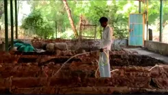 यूपी के हर जिले में 1,000 से अधिक बायोगैस प्लांट, IIT दिल्ली बनेगा तकनीकी साझेदार
