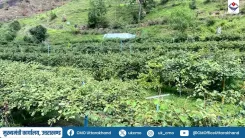 Uttarakhand CM Office Spotlights Teacher's Horticulture Model