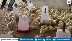 Uttarakhand CMO: Poultry Farm Boosts Women's Self-Employment in Pauri Garhwal