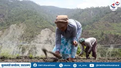 Uttarakhand CMO: Rural Economy Strengthening in US Nagar