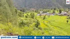 Uttarakhand Govt Acts to Shield Hill Farmers From Wildlife