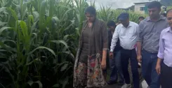 टिहरी के कॉर्न विलेज सैंजी में CDO वरुणा अग्रवाल का दौरा, स्वीट कॉर्न खेती को मिला प्रशासनिक बल