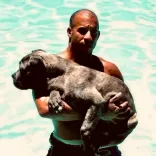 Vin Diesel marks 25 years of Fast & Furious with global re-release ahead of Fast Forever