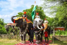 विश्व हाथी दिवस 2026: क्यों हाथी हैं धरती के असली 'क्लाइमेट हीरो' और 'इकोसिस्टम इंजीनियर'
