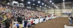Vivek Ramaswamy Speaks at Ohio State Fair Charity Steer Show
