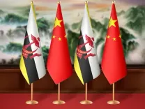 वांग यी ने ब्रुनेई के 42वें राष्ट्रीय दिवस पर ब्रुनेई के विदेश मंत्री को बधाई संदेश भेजा