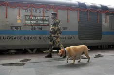 क्या पश्चिम बंगाल के मालदा रेलवे मंडल में सुरक्षा के व्यापक इंतजाम किए गए हैं?