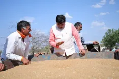 MP CM Mohan Yadav's surprise inspection at Ujjain wheat centre flags farmer concerns