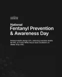 White House Marks National Fentanyl Awareness Day, Cites Border Crackdown