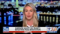 White House: Six Arrested for Vandalizing DC Reflecting Pool