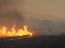 Nevada Hawk Fire burns 15,000 acres near Reno, destroys 32 homes, injures 7