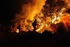 Catalonia wildfire scorches 2,300 hectares, 10,000 evacuated in Girona