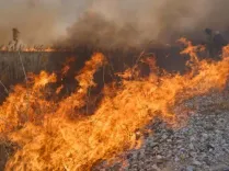 Colombia wildfires: 12 active blazes in 3 departments under El Nino