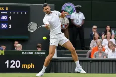 Djokovic equals Federer's 105-win Wimbledon record in gritty third-round win