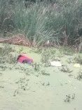 Woman's body found in suitcase at Bengaluru's Ramohalli Lake, third such case in months