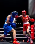 World Boxing Cup Finals to begin from Nov 14 in Greater Noida