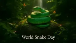 वर्ल्ड स्नेक डे : दुनिया में 3,500 से अधिक प्रजातियां, सिर्फ 200 से इंसानों को खतरा