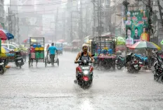Yellow alert for 24 Bihar districts as monsoon triggers heavy rain, lightning