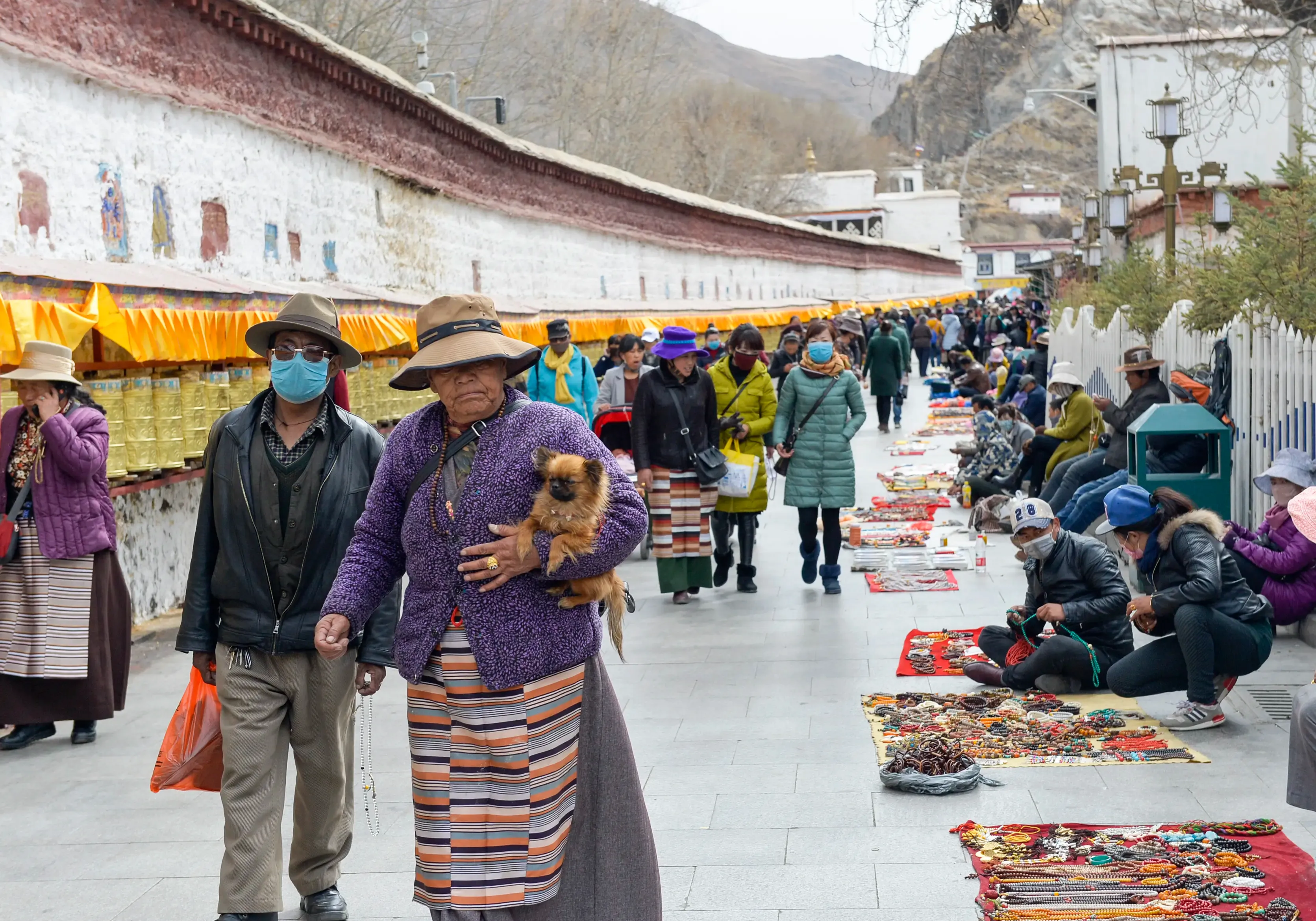 Are Tibetan Activists Facing Threats from China Due to Environmental Protests?