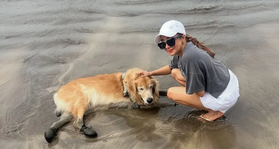 Tinaa Dattaa gets teary-eyed remembering pet dog Bruno: 'Losing my sleep'