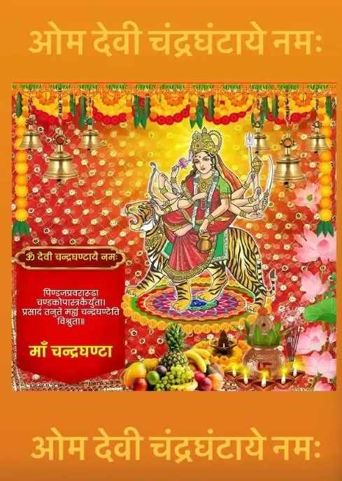 क्या नवरात्रि के तीसरे दिन पाखी हेगड़े ने दी खास बधाई?