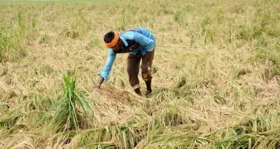 Tamil Nadu farmers push for ag budget consultations, crop price support