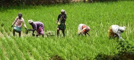 Should Tamil Nadu Extend Mettur Water Release for Farmers?