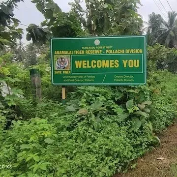 What Measures is the TN Forest Department Taking to Address Human-Wildlife Conflict in Valparai?