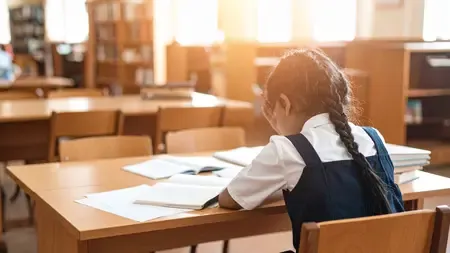 How is the TN government enhancing library use and literacy for Classes 1-8?