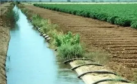 Are Farmers from Kangeyam and Vellakovil Ready to Protest for Fair Water Distribution?