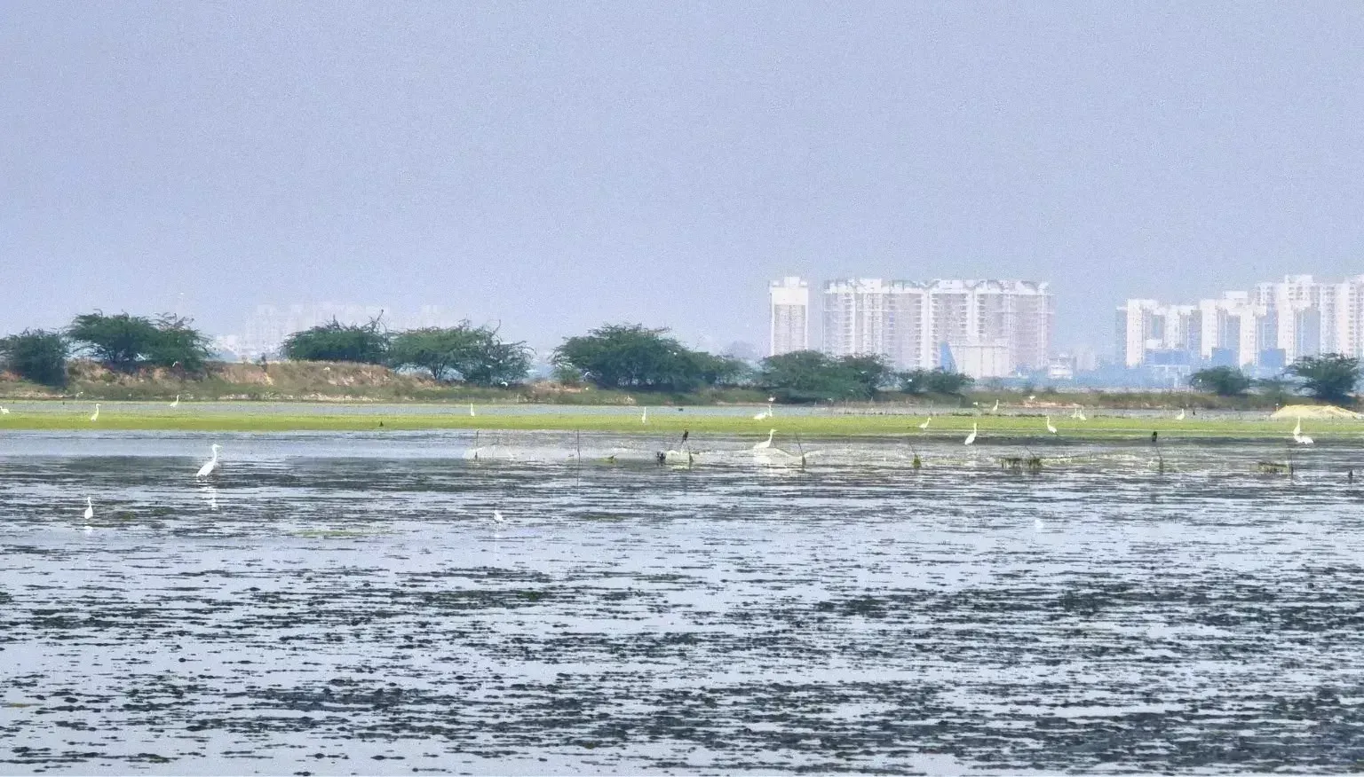 Mamallan reservoir in Chengalpattu built 30% without fisheries NOC