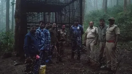 Nilgiris tiger declared man-eater after two fatal attacks near Gudalur