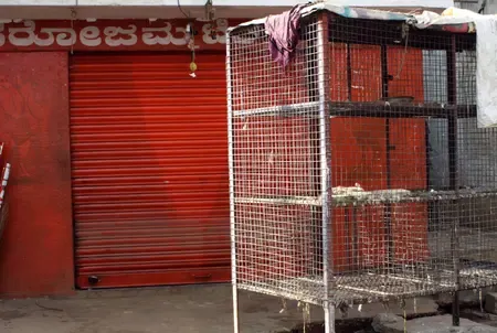 Is Tamil Nadu Increasing Surveillance Due to Bird Flu Outbreak in Kerala?