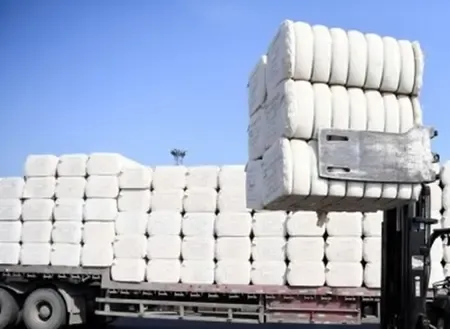 How Can TN's Textile Sector Ensure Growth Amid Budget Reforms?