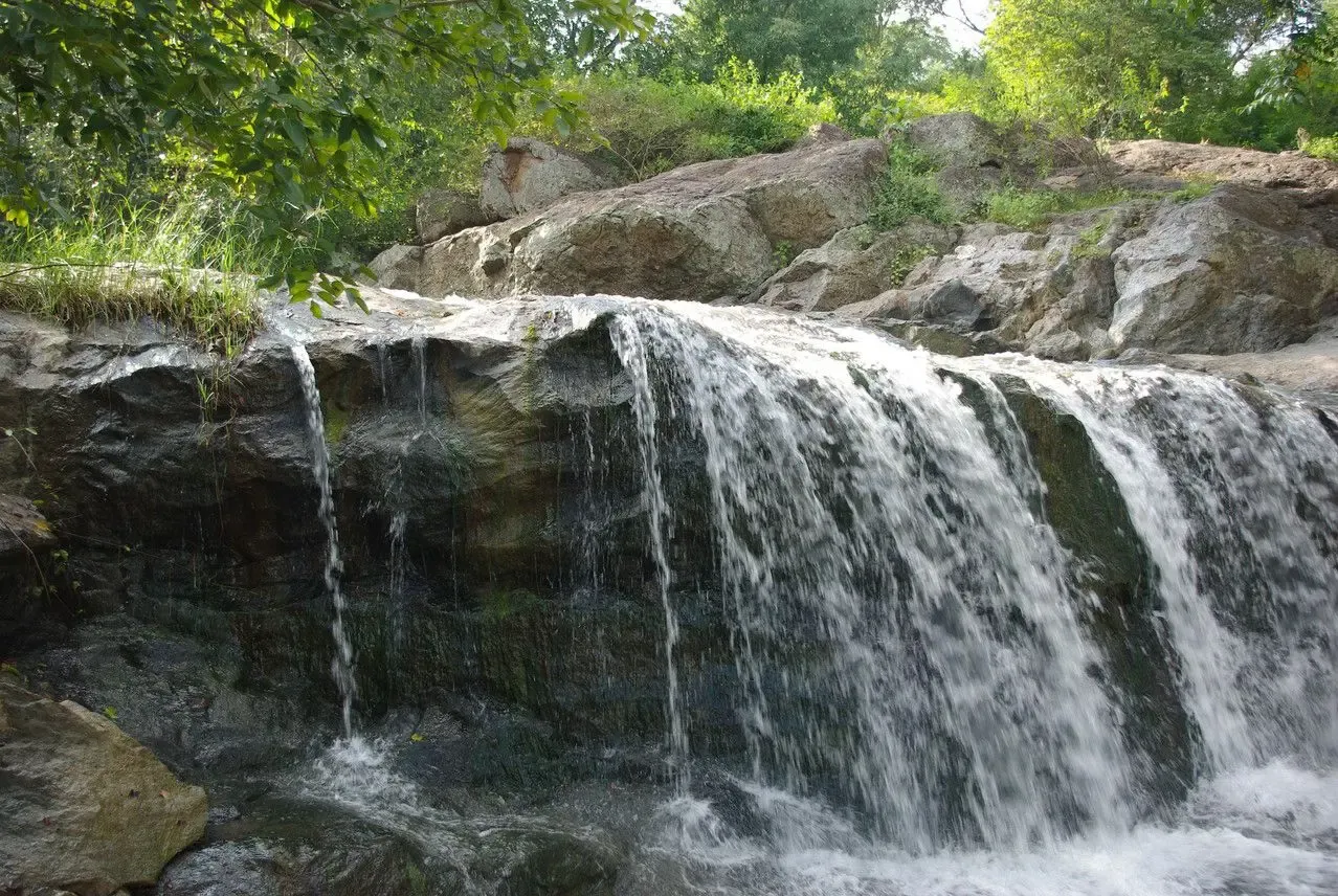 Tamil Nadu's Jawadhu Hills Set for Eco-Tourism Makeover with Glamping and Camping