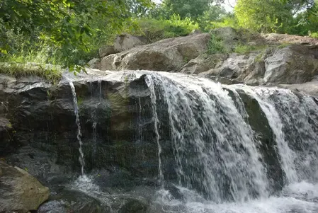 Tamil Nadu's Jawadhu Hills Set for Eco-Tourism Makeover with Glamping and Camping