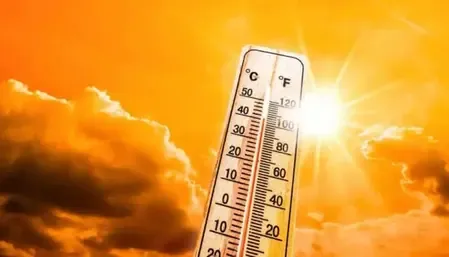 Tamil Nadu Braces for Rising Temperatures, IMD Releases Heat Warning