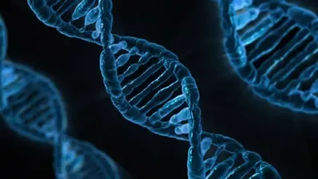 Will TN Launch Genetic Disorder Centres in Coimbatore and Madurai?