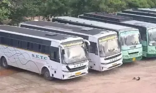 Will TN's 20 New Sleeper Buses Transform Long-Distance Travel?