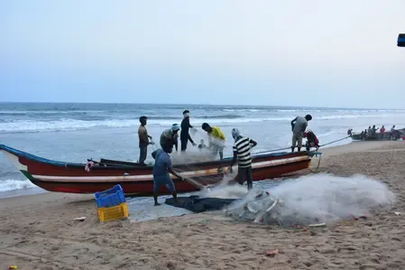 Is Tamil Nadu Setting Up 14 New Fishnet Collection Centres?