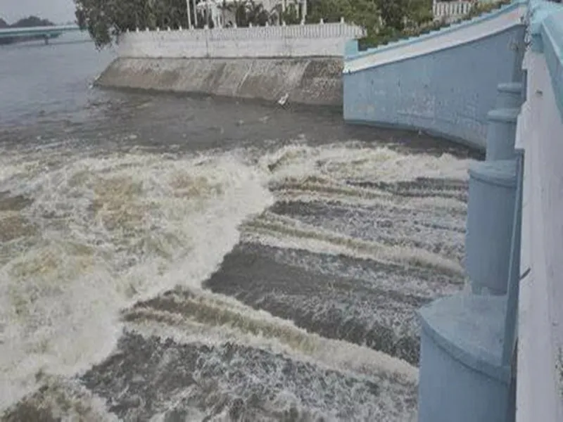 Is the TN Water Resources Department Ready to Clear Vegetation from the Cauvery River?