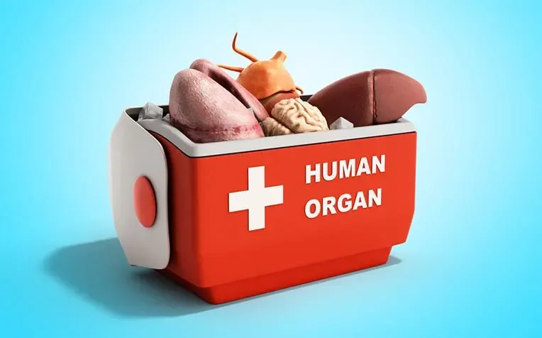 Did a TN Woman Experience Illegal Organ Removal?