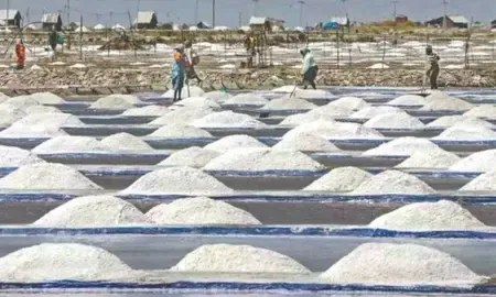 Will TN's Thoothukudi Salt, Authoor Poovan Banana, and Villiseri Lemon Receive GI Tag?