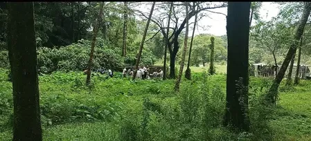 What Was Discovered at the 1st Burial Site in Dharmasthala?