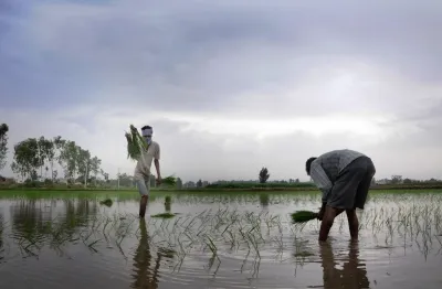 Has the Total Area Sown in the Current Kharif Season in India Surpassed 1,120 Lakh Hectares?